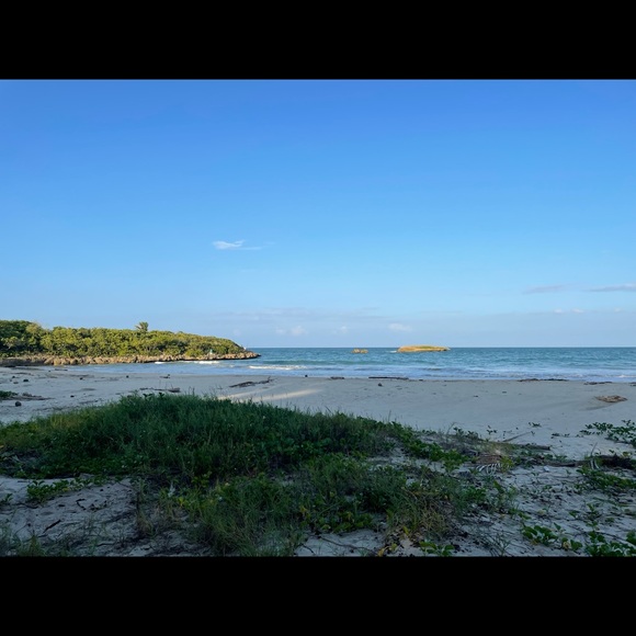 Meet your Posher, Gio - Picture 1 of 1